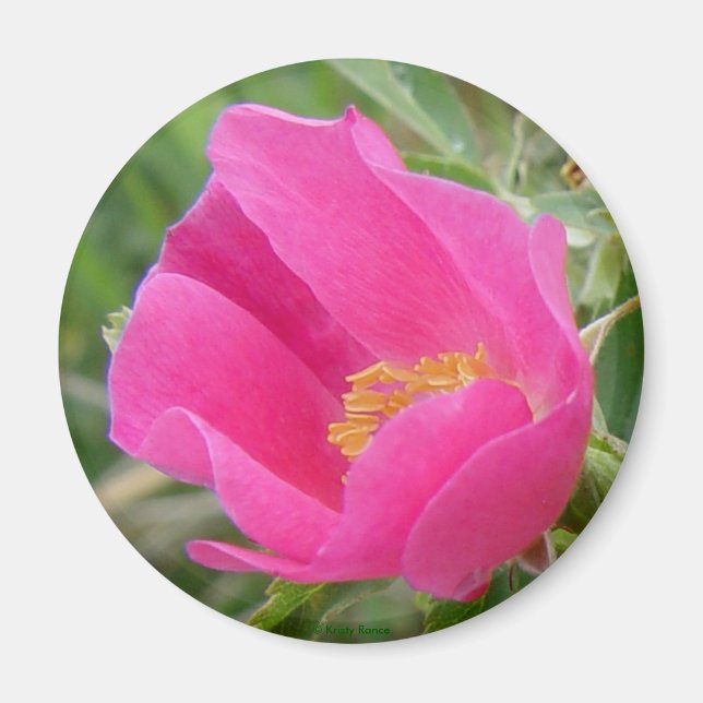 F7 Vild Ro Magnet (Framsidan)