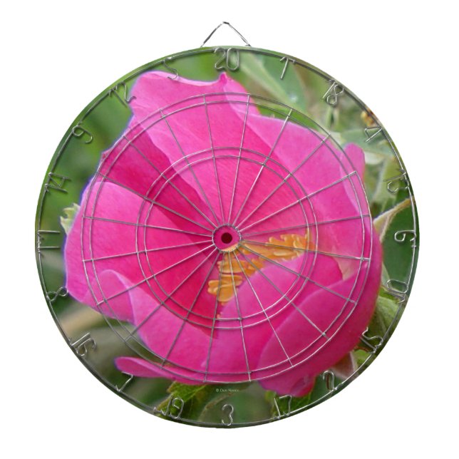 F7 Vildros Ljus Rosa Blomma Darttavla (Framsidan)