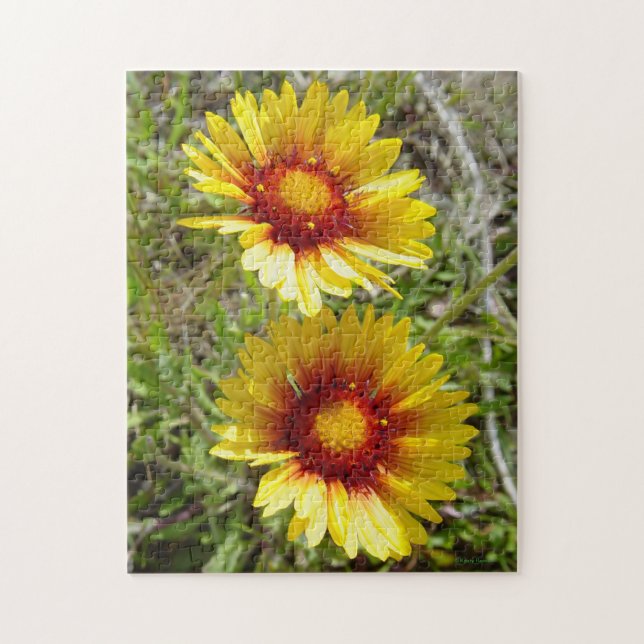 F8 gula vildblommor Gaillardia Pussel (Vertikal)