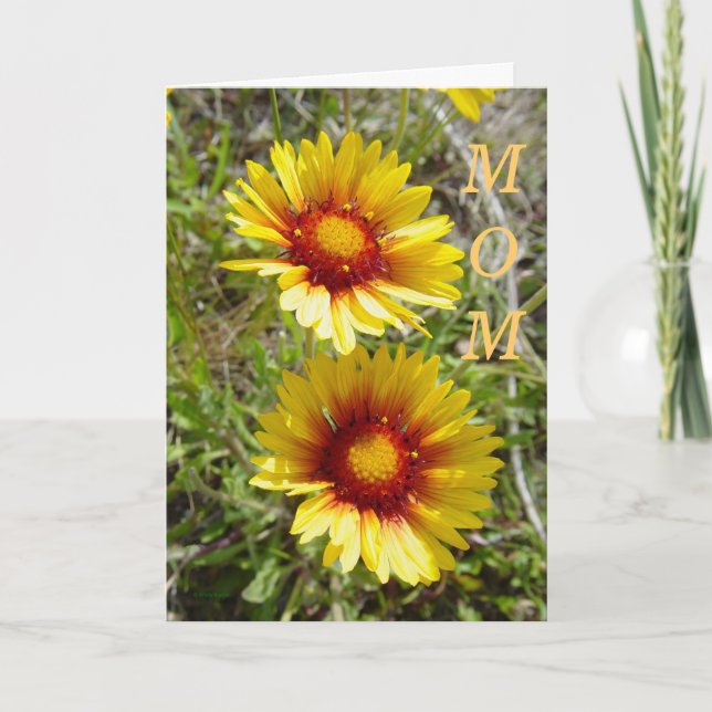 F8 Gult Gaillardia Kort (Framsida)