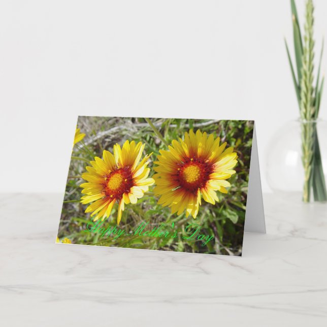 F8 Gult Gaillardia Kort (Framsida)