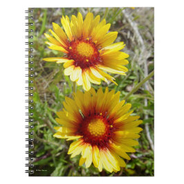 F8 Gult Wildblommor Gaillardia Anteckningsbok
