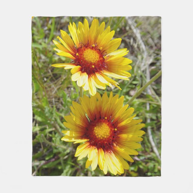 F8 Gult Wildblommor Gaillardia Fleecefilt (Framsidan)