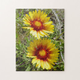 F8 Gult Wildblommor Gaillardia Pussel