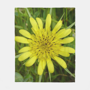F9 Gul vildblomma Getskägg Tragopogon dubius Fleecefilt