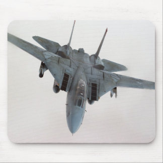 F-14 MUSMATTA