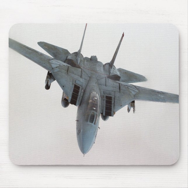 F-14 MUSMATTA (Framsidan)