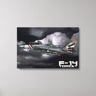 F-14 Tomcat Canvastryck