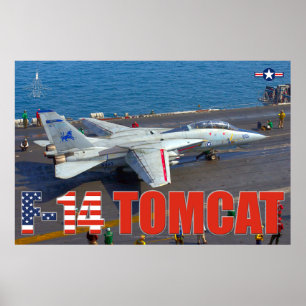F-14 TOMCAT "LAUNCH"-POSTER POSTER