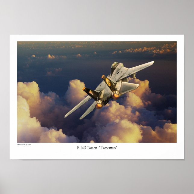 F-14 Tomcat Poster (Framsidan)