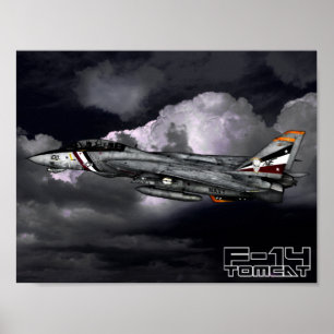 F-14 Tomcat Poster