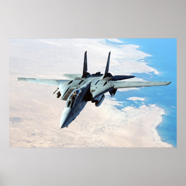 F-14 Tomcat Poster (Framsidan)