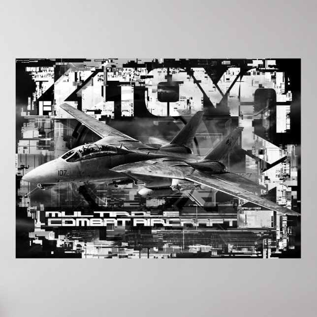 F-14 Tomcat-värdet Poster Pappert (projektionsyta) (Framsidan)