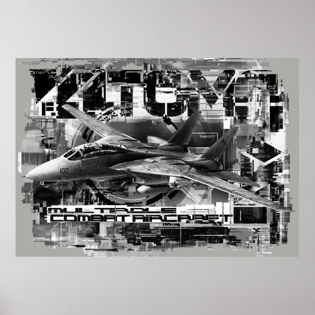 F-14 Tomcat-värdet Poster Pappert (projektionsyta) (Framsidan)