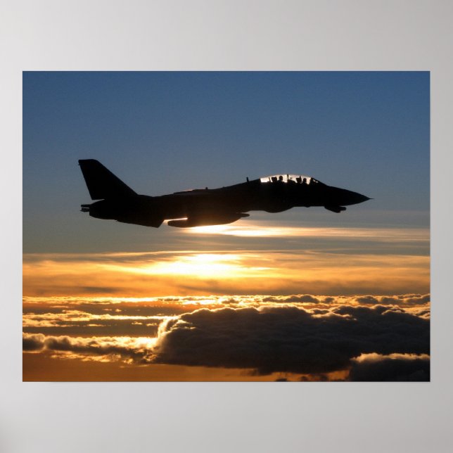 F-14D Tomcat Poster (Framsidan)