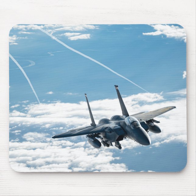 F-15 Eagle Musmatta (Framsidan)