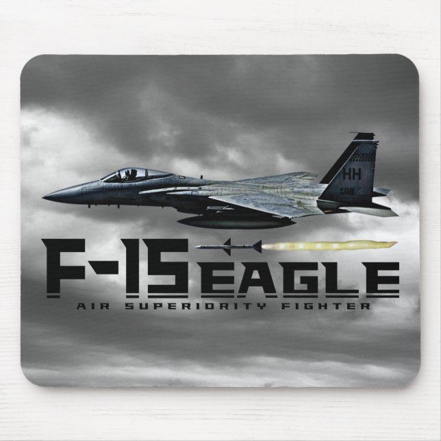 F-15 Eagle Musmatta (Framsidan)