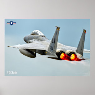 F-15C EGLE POSTER