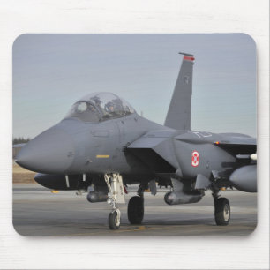 F--15Estrejkaörn Musmatta