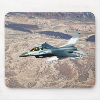 F-16 Bekämpning av Falcon Musmatta