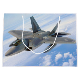 F-22 Raptor Military Jet