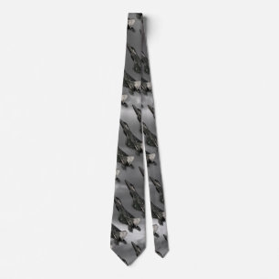 F-22 RAPTOR NECK TIE SLIPS