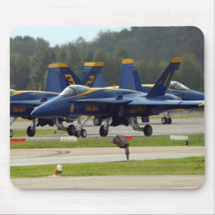 F/A-18 Blue Änglar Musmatta