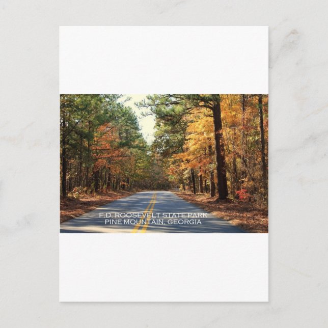 F.D. ROOSEVELT STATE PARK - GRÄS MOUNTAIN, GEORGIE VYKORT (Framsida)