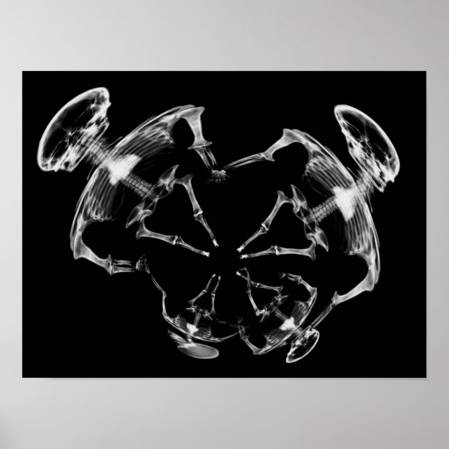 F&W-skiktad X-Ray Skeleton-familj Poster (Framsidan)