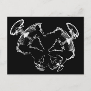 F&W-skiktad X-Ray Skeleton-familj Vykort
