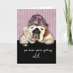 få äldre, grattis på födelsedagen, rolig hund rosa kort