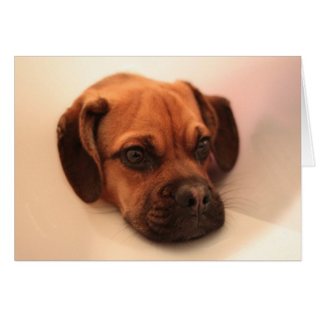 få bättre hälsningskort (Framsidan Horizontal)