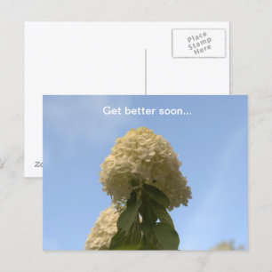 Få bättre snart Lime Hydrangea Vykort