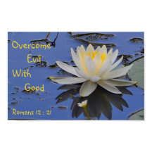 Få bort ondska med Bra Lily