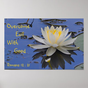 Få bort ondska med Bra Lily Poster