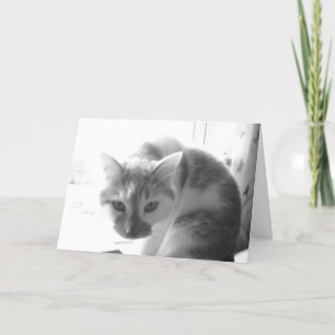 Få bra uppmuntran kort