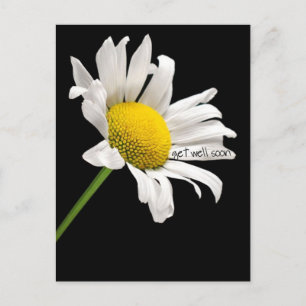 Få bra vykort för Daisy snart