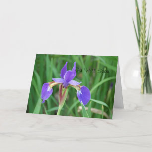 Få Brunnen Siberian Iris 2 Kort