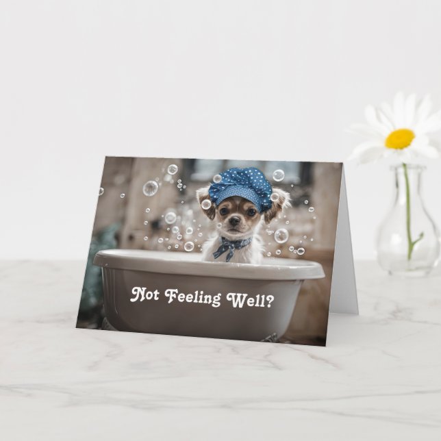 Få en bra känsla av bättre Cute Chihuahua Puppy Hu Kort (Liten växt)