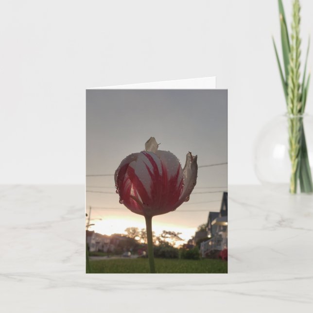 Få ett riktigt jobb, Hippie Kort (Framsida)