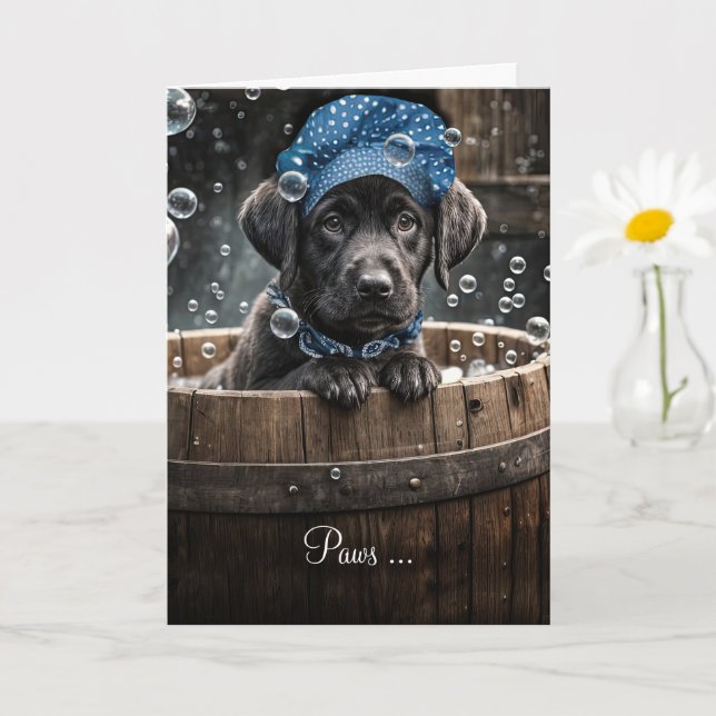 Få god känsla av bättre Cute Black Labrador Retrie Kort (Liten växt)