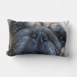 Få god tillgång snart till Synon Pug Hund Lumbarkudde