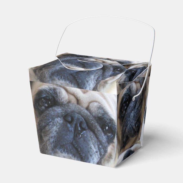 Få god tillgång snart till Synon Pug Hund Presentaskar (Framsidan Sidan)