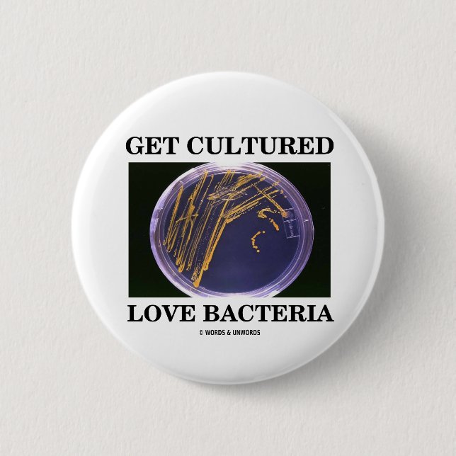 Få kultiverade kärlekbakterier (den Petri Knapp (Framsida)