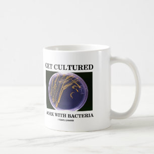 Få kultiverat arbete med bakterier (agaren kaffemugg