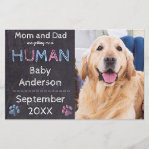 Få mig ett meddelande om Graviden Baby i Hund