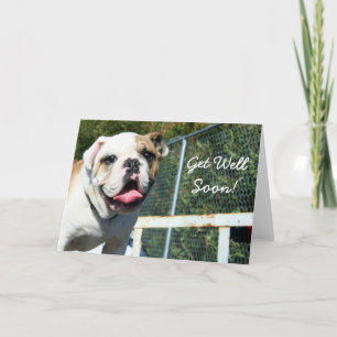 Få snart ett hälsningskort för bulldog tack kort