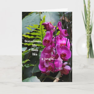 Få väl Orchids Kort