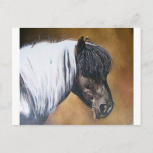 FAA-AfroPony Vykort
