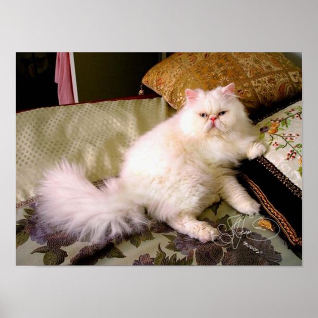 ! Fåaabuuuloussss!!!!!!! Poster (Framsidan)